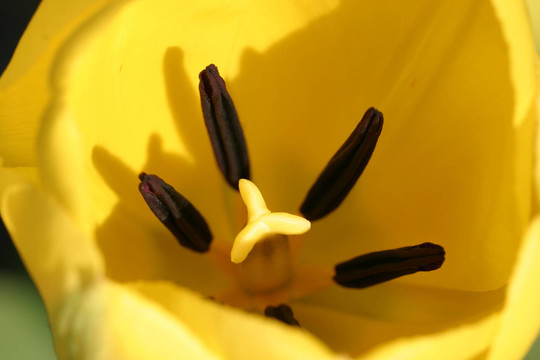 生命還在