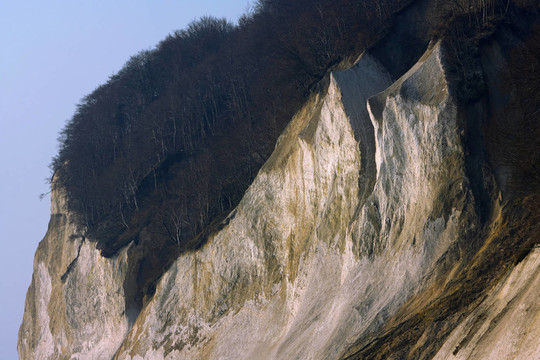 衛(wèi)報