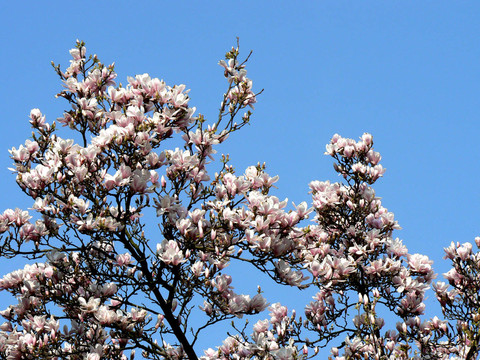 藍(lán)色的光芒