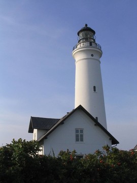 玫瑰樹籬和燈塔