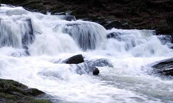 水