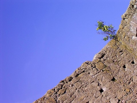 在惡劣burgruine Liebenstein