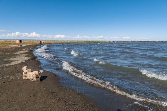 青海湖風光