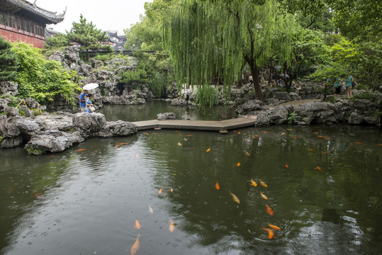 豫園風(fēng)光