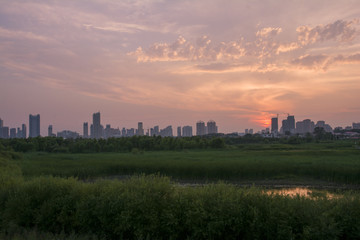 都市夕陽剪影
