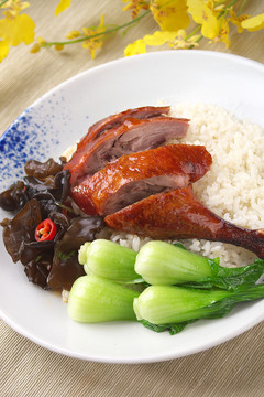 燒鴨腿飯