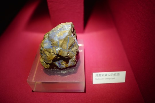 廣東省博物館 玉器 博物館 寶