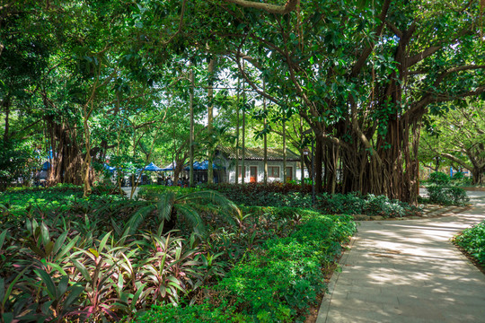 惠州南湖公園