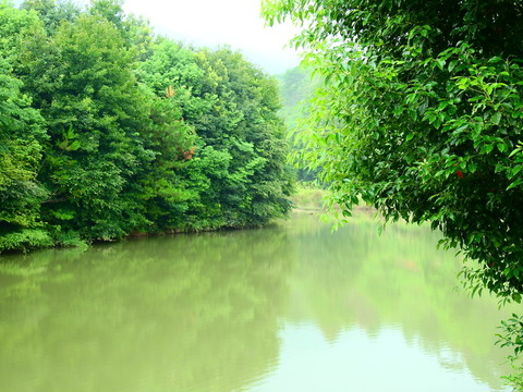 綠水綠樹