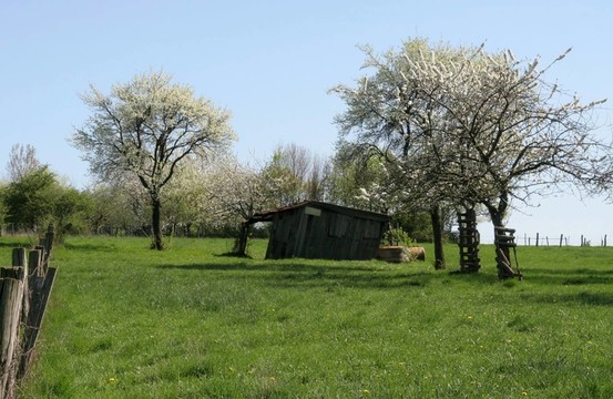 windschief .....