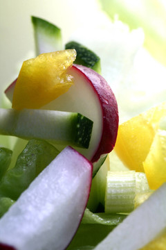 生的食物殘?jiān)? style=