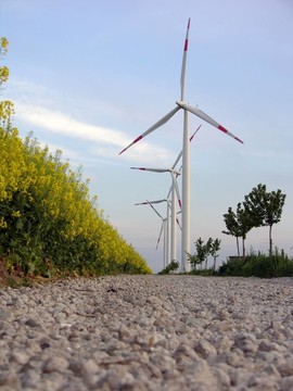 油菜田風力發(fā)電機組