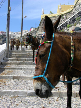 santoriniesel