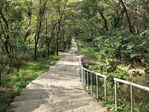 天梯臺(tái)階