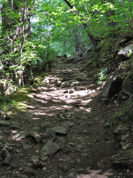 TRAIL E 11
