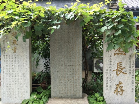 石碑 葡萄架