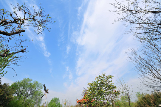 藍(lán)天 天空