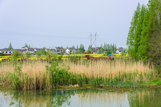 楊柳村鄉(xiāng)村風(fēng)光