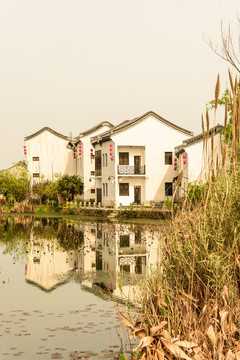 楊柳村鄉(xiāng)村風(fēng)光