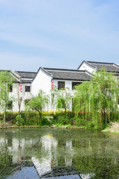 楊柳村鄉(xiāng)村風(fēng)光