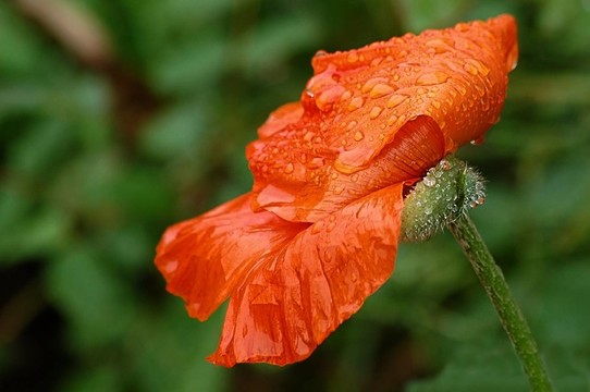 下雨天