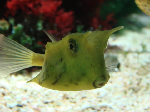 水族館