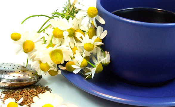 甘菊茶
