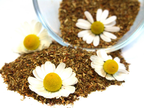 甘菊茶