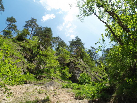 美麗的山