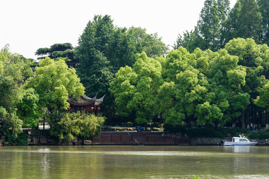 白鷺洲公園風(fēng)景