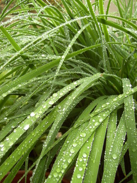 雨點(diǎn)02