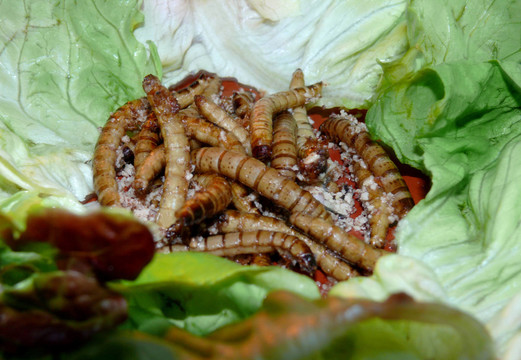 食品
