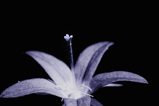 藍(lán)色的光芒