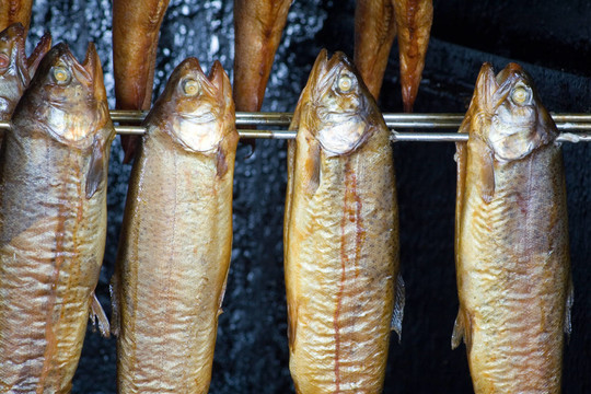 魚，鮮魚
