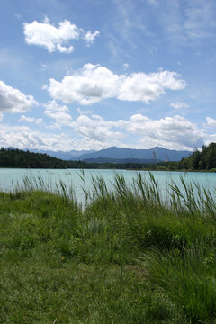 山