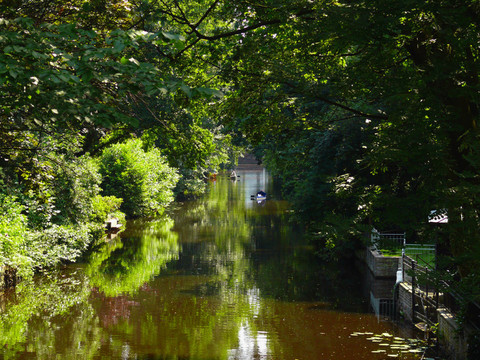 alsterfleet