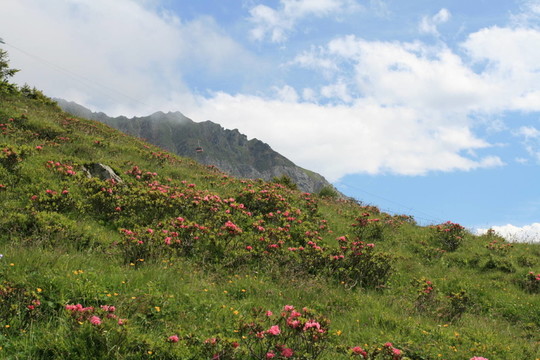 在倫策海德的貢多拉Rothorn