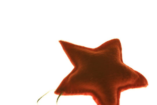 一品紅