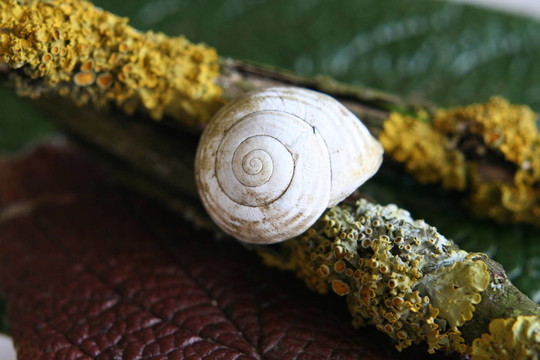 秋天的本質(zhì)
