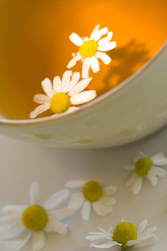 杯
