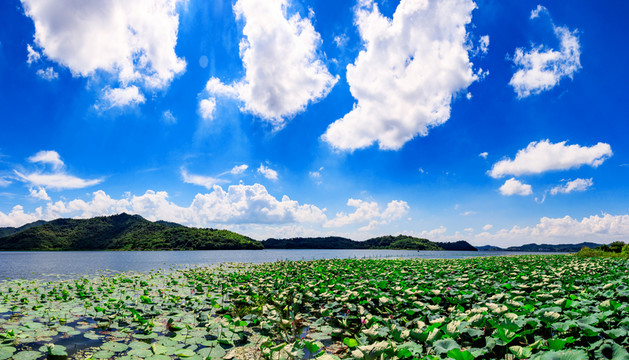 寧波風(fēng)光 寧波旅游 東錢湖