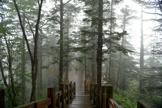 西林雪山 戰(zhàn)術(shù)