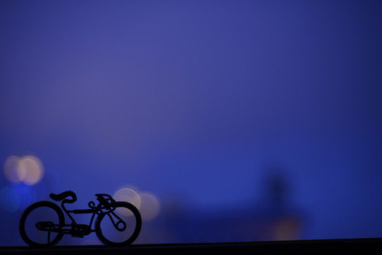 單車