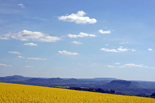elbsandstein山