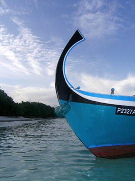 Dhoni