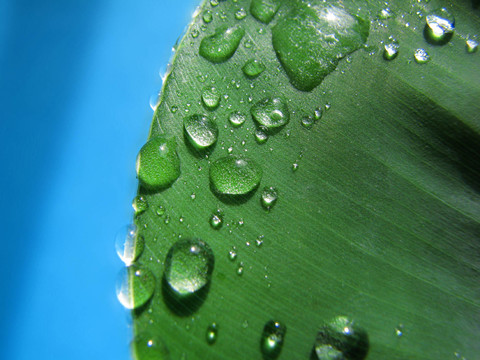 水滴