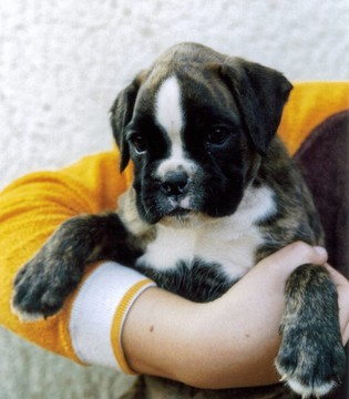 babybild1 Molli