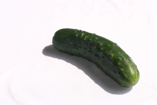 黃瓜