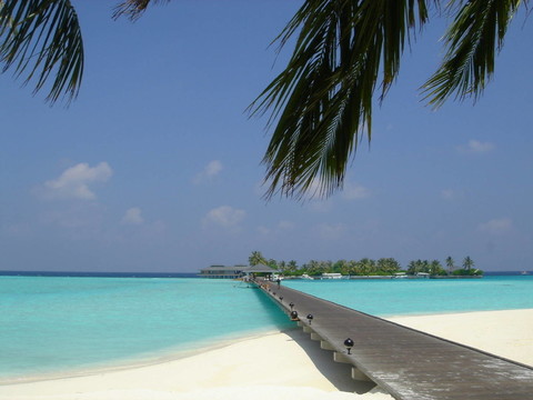 孫冰島