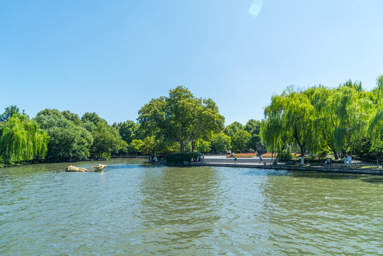 公園湖景